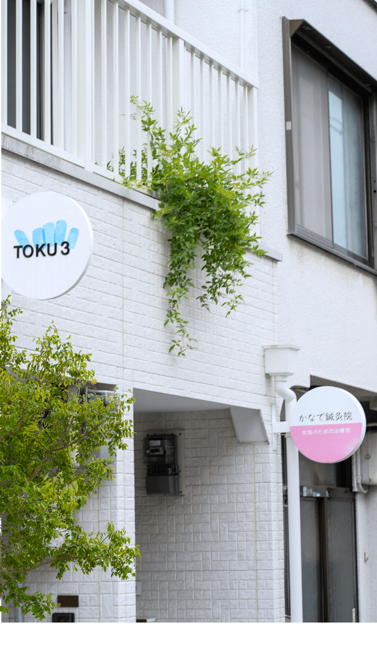 白い館 — 白い壁に掛かる館のサインボード